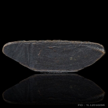 รูปหล่อปั้มหลวงพ่อรุ่ง วัดบางแหวน รุ่นแรก