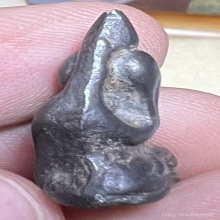 ปิดตาท้ายย่าน พิมพ์เขียดเนื้อแร่พวง  จ.ชัยนาท