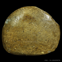 หลวงปู่ภู่ วัดนอก