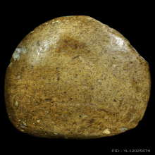 หลวงปู่ภู่ วัดนอก