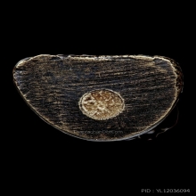 รูปหล่อโบราณหลวงพ่อสงฆ์ จนฺทสโร เนื้อทองเหลือง