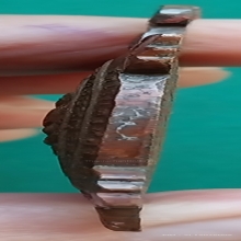 ลป.หลิว รุ่นปลดหนี้