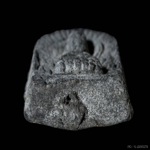 หลวงปู่ทวด เนื้อว่าน พิมพ์ซุ้มกอใหญ่ พระอาจารย์นอง 