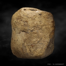 พระคงลำพูน กรุเก่า วัดพระคงฤาษี