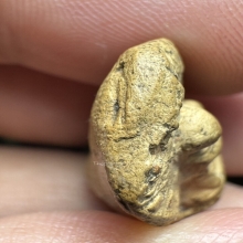 พระคงลำพูน กรุเก่า วัดพระคงฤาษี