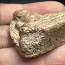 หลวงพ่อโต กรุวัดบางกระทิง อยุธยา