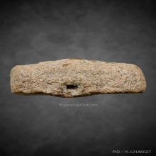 หลวงพ่อปาน พิมพ์เม่นการ์ตูน 