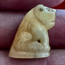 เขี้ยวเสือแกะ มีจารย์ตัวเล็ก เก่าดีสวยสมบูรณ์