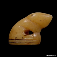 เสือหลวงพ่อสาย วัดคลองด่าน จ.สมุทรปราการ