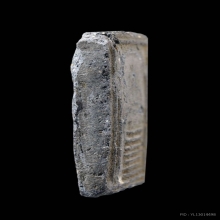 สมเด็จไผ่ตอง พ่อพริ้ง วัดบางปะกอก