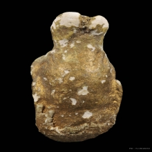 หลวงปู่ทิม ผงพรายกุมาร แร์ไอเทม