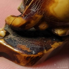 เสือหลวงพ่อปาน วัดบางเหี้ย