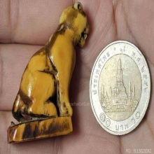 เสือหลวงพ่อปาน วัดบางเหี้ย