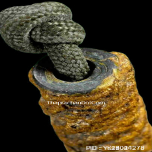 ตะกรุดสี่มหาอำนาจหลวงปู่เทียม วัดกษัตราธิราช อยุธยา