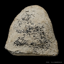 +ติดที่4สมาคม สมเด็จโต เนื้อขาว วัดประสาท