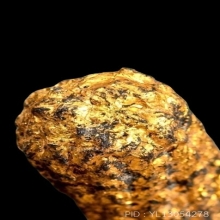 ตะกรุดหนังหน้าผากเสือ หลวงพ่อเต๋ วัดสามง่าม จ.นครปฐม