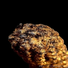 ตะกรุดหนังหน้าผากเสือ หลวงพ่อเต๋ วัดสามง่าม จ.นครปฐม