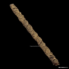 ตะกรุดหลวงพ่อกลั่น วัดพระญาติ จ.อยุธยา