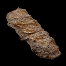 ตะกรุดหนังหน้าผากเสือ หลวงพ่อจง วัดหน้าต่างนอก