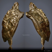 เต่าหลวงพ่ออิ่ม วัดหัวเขา