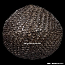 ๑ในเบญจภาคีเครื่องราง เบี้ยแก้ หลวงปู่รอด วัดนายโรง