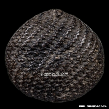 ๑ในเบญจภาคีเครื่องราง เบี้ยแก้ หลวงปู่รอด วัดนายโรง