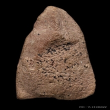 +บัตรป๋องสุพรรณ หลวงปู่ทวดอาปาเช่ วัดประสาท เนื้อชมพู