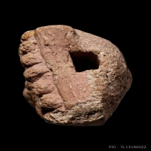 +บัตรป๋องสุพรรณ หลวงปู่ทวดอาปาเช่ วัดประสาท เนื้อชมพู