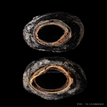 +บัตรสมาคม ตะกรุดโสฬสมงคล หลวงพ่อทองสุข วัดสะพานสูง