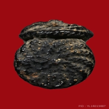 ตะกรุดมหาอุตม์หยุดมัจจุราช หลวงพ่อทา วัดพะเนียงแตก จ.นครปฐม