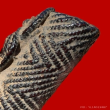 ตะกรุดมหาอุตม์หยุดมัจจุราช หลวงพ่อทา วัดพะเนียงแตก จ.นครปฐม