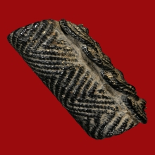 ตะกรุดมหาอุตม์หยุดมัจจุราช หลวงพ่อทา วัดพะเนียงแตก จ.นครปฐม