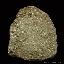 พระกรุวัดเทพลีลา กรุงเทพฯ