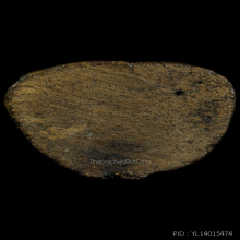 หลวงพ่อเงิน วัดบางคลาน