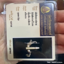 ปลัดขิกหลวงพ่อกวย วัดโฆษิตาราม จ.ชัยนาท ปี2500