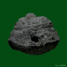 พระหลวงปู่ทวดพ่อท่านพล ยุคแรก วัดนาประดู่ จ.ปัตตานี ปี2534