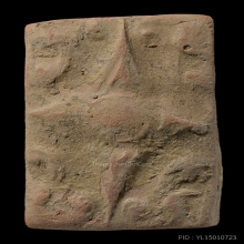 ๙ ดอกพุดเนื้อดินหลวงพ่อยี วัดดงตาก้อนทอง ๙