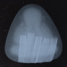 *** 3 PIECES!!! IN THE WORLD!!! ***