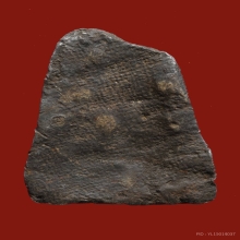 ชินสีห์