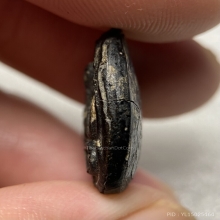 พระปิดตา เนื้อผงคลุกรักจุ่มรักเก่า