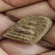 พระปรกโพธิ์มารวิชัยหลวงปู่พริ้ง