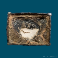 ภูมิพโลภิกขุ 5นิ้ว 