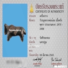 วัวธนูพอกครั่งหลวงพ่อน้อย วัดศีรษะทอง จ.นครปฐม หายากมาก