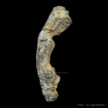 พระหูยาน  กรุหายากในตำนาน