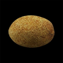 ลูกอมผงธูปกรรมฐาน พ่อท่านคลิ้ง ตัวหนอนคม สวยมากๆ