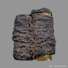 ตะกรุดสาริกาสามกษัตริย์หลวงพ่อกลั่น วัดพระญาติ