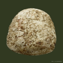 พระวัดพลับพิมพ์พุงป่องใหญ่