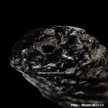 ตะกรุดสาริกาหน้าผากเสือหลวงพ่อนอ วัดกลางท่าเรือ จ.อยุธยา