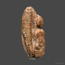 พระท่ามะปรางค์ กรุวัดพระศรีรัตนมหาธาตุ สุพรรณบุรี