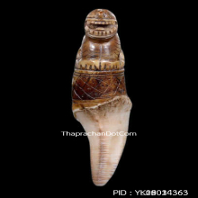 เขี้ยวเสือหลวงพ่อนก วัดสังกะสี ยุคต้นเก่ามาก